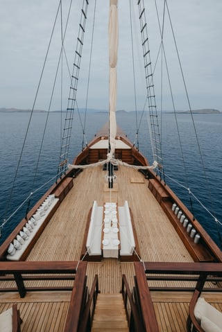 Gallery image 13