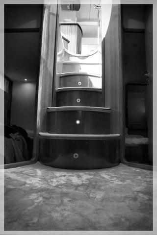 Gallery image 18