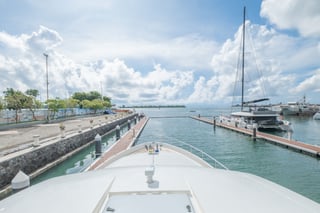 Gallery image 8