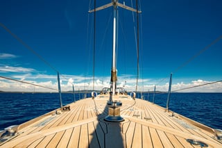Gallery image 15