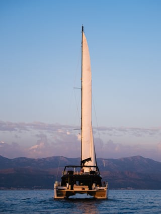 Gallery image 12