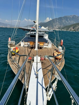 Gallery image 15