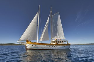 Gallery image 4