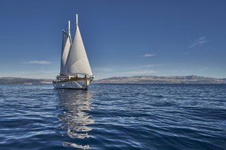 Gallery image 10