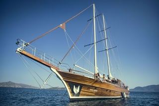 Gallery image 1