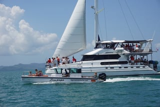 Gallery image 30
