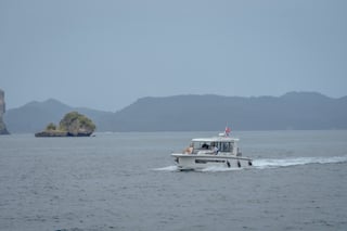 Gallery image 38