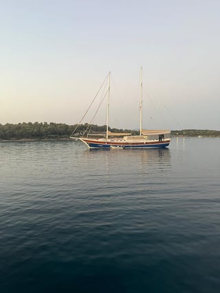 Gallery image 11