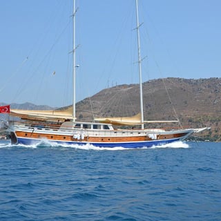 Gallery image 5