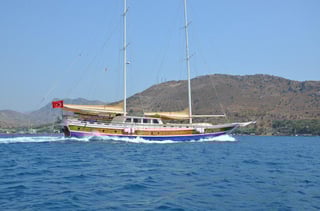 Gallery image 1