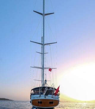 Gallery image 27