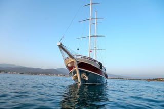 Gallery image 12