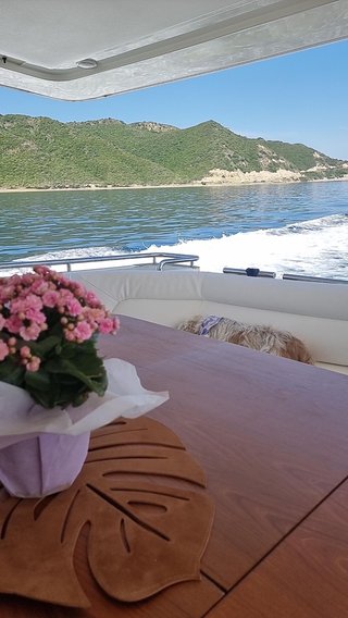 Gallery image 11