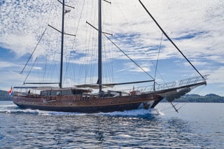 Gallery image 10