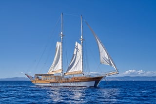 Gallery image 1