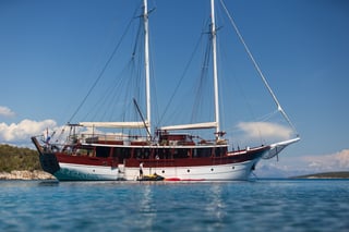Gallery image 13