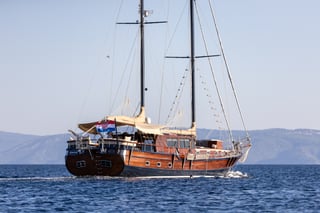 Gallery image 7