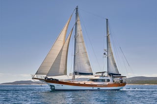Gallery image 1