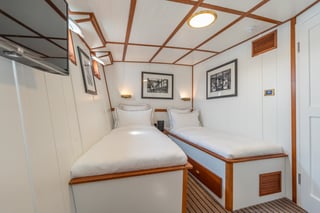 Gallery image 50