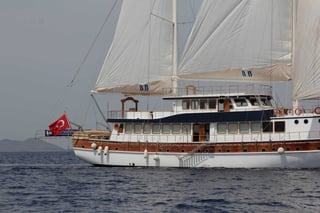 Gallery image 11