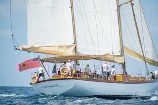 Gallery image 18