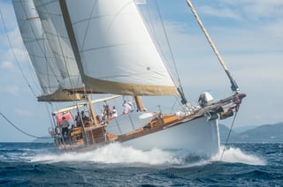 Gallery image 15