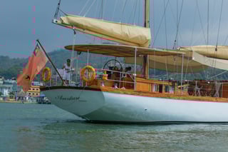 Gallery image 20
