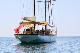 Gallery image 19