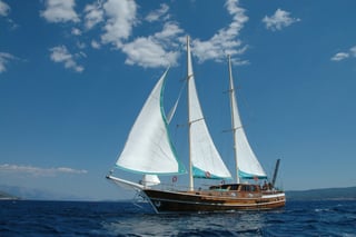 Gallery image 1