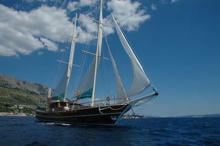 Gallery image 10