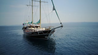 Gallery image 7