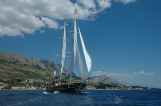 Gallery image 9