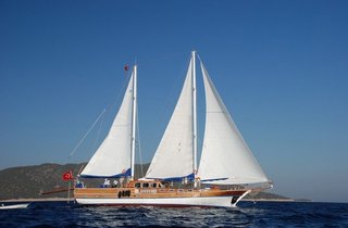 Gallery image 1