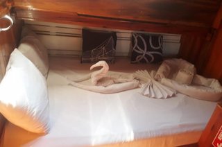 Gallery image 13