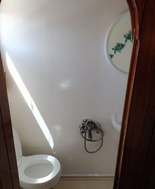 Gallery image 15