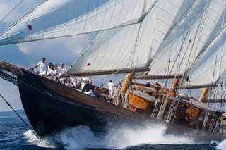 Gallery image 5