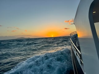 Gallery image 64