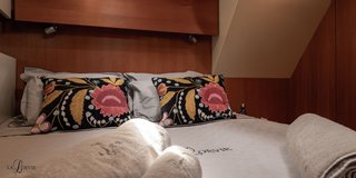 Gallery image 15