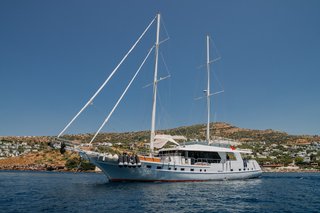 Gallery image 13