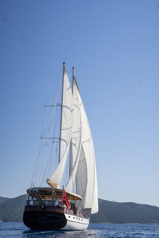 Gallery image 5