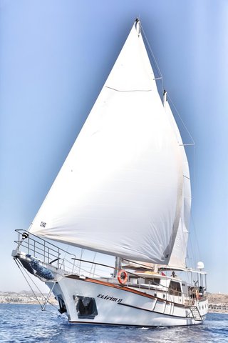 Gallery image 3