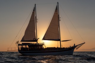 Gallery image 10