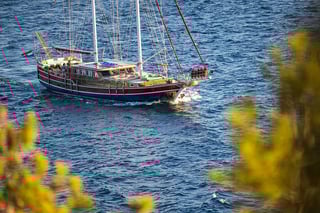 Gallery image 9