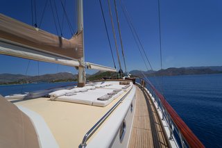 Gallery image 12