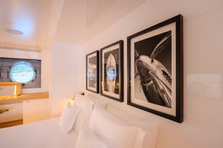 Gallery image 53