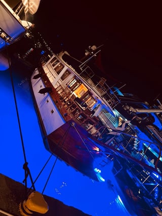 Gallery image 15