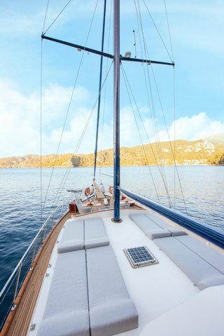 Gallery image 7