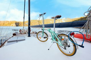 Gallery image 31