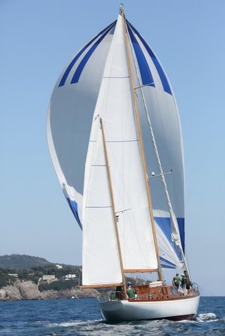 Gallery image 5