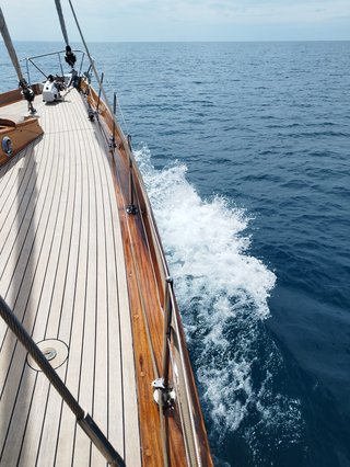 Gallery image 9